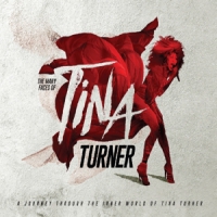Turner, Tina.=v/a= Many Faces Of Tina Turner