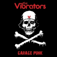 Vibrators, The Garage Punk (pink)