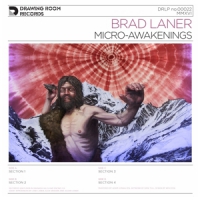 Laner, Brad Micro-awakenings