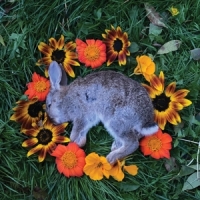 Monolord Your Time To Shine