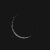 Son Lux Lanterns (clear)