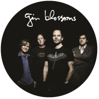 Gin Blossoms Live In Concert (pd)