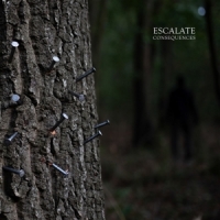 Escalate Consequences (green/oxblood Splatte