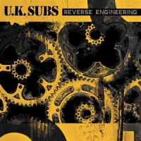 Uk Subs Reverse Engineering (yellow/black)