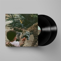 Unknown Mortal Orchestra V