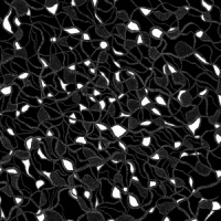 Gary War / Purple Pilgrims Split