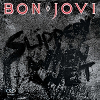 Bon Jovi Slippery When Wet