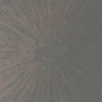 Basinski, William & Lawrence Englis Selva Oscura