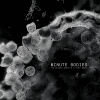 Tindersticks Minute Bodies: The Intimate World