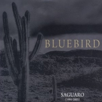 Blue Bird Saguaro 1995-2003