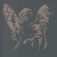 Ruins Of Beverast, The Blood Vaults