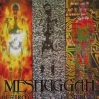 Meshuggah Destroy Erase Improve
