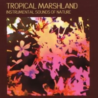 Sound Effects Tropical Marshland