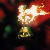 Brown, Arthur Long Long Road