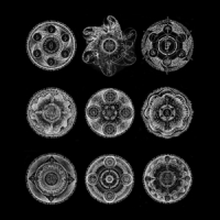 Zorn, John & Bill Laswell Memoria