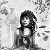 Honda, Yuka Heart Chamber Phantoms