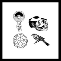 Woods With Light And With Love