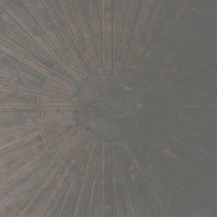 Basinski, William & Lawrence Englis Selva Oscura