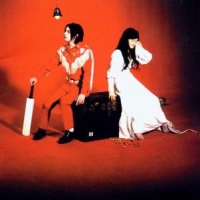 White Stripes Elephant