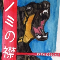 Flea Collar Flea Collar