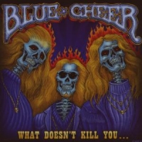 Blue Cheer What Doesn't Kill You ?