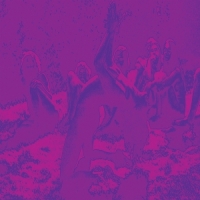 Bardo Pond Acid Guru Pond