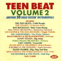 Various Teen Beat Vol.2