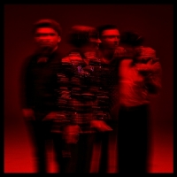 Marmozets Co.war.dice.