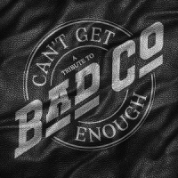 Various / Bad Company Can't Get Enough: A Tribute To Bad Company
