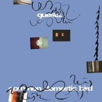 Guests Common Domestic Bird