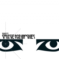 Siouxsie And The Banshees The Best Of...
