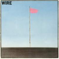Wire Pink Flag
