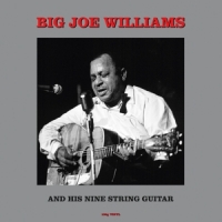 Williams, Big Joe & J.d. Short And His Nine String Guitar