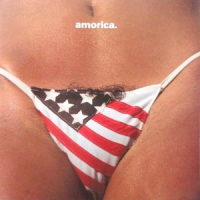 Black Crowes, The Amorica.