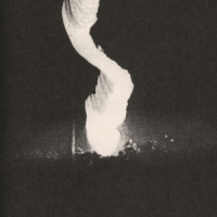 Heads. Collider (black)