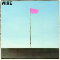 Wire Pink Flag