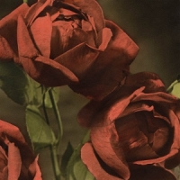 Cindy Another Country