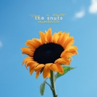 Snuts, The Joy In Short Moments