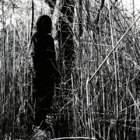 Woods, Billy Today, I Wrote Nothing (10 Year Anni