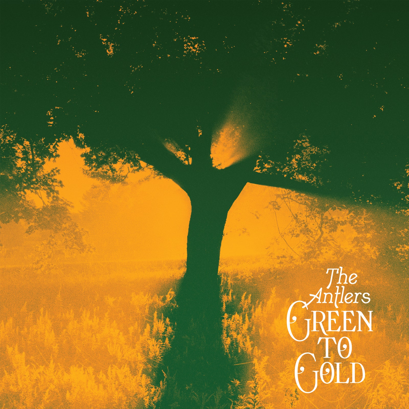 Antlers, The Green To Gold