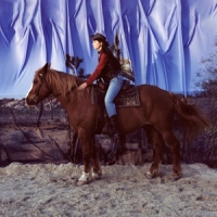 Holy Motors Horse