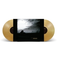 Envy Insomniac Doze (metallic Gold)
