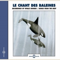 Sons De La Nature Le Chant Des Baleines - Whales Reco