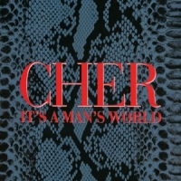 Cher It's A Man's World