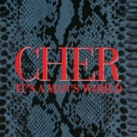 Cher It's A Man's World