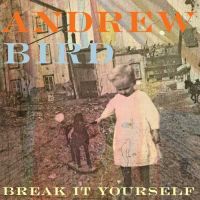 Bird, Andrew Break It Yourself-cd+dvd-