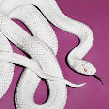 Deftones Private Music -alt Cover-