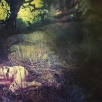 Final Apple Never Falls...