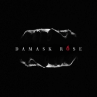 Damask Rose Damask Rose