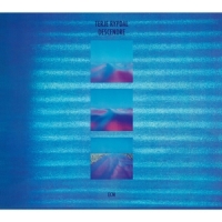 Rypdal, Terje Descendre